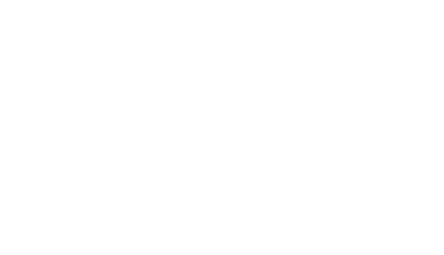 Race For The Baltic